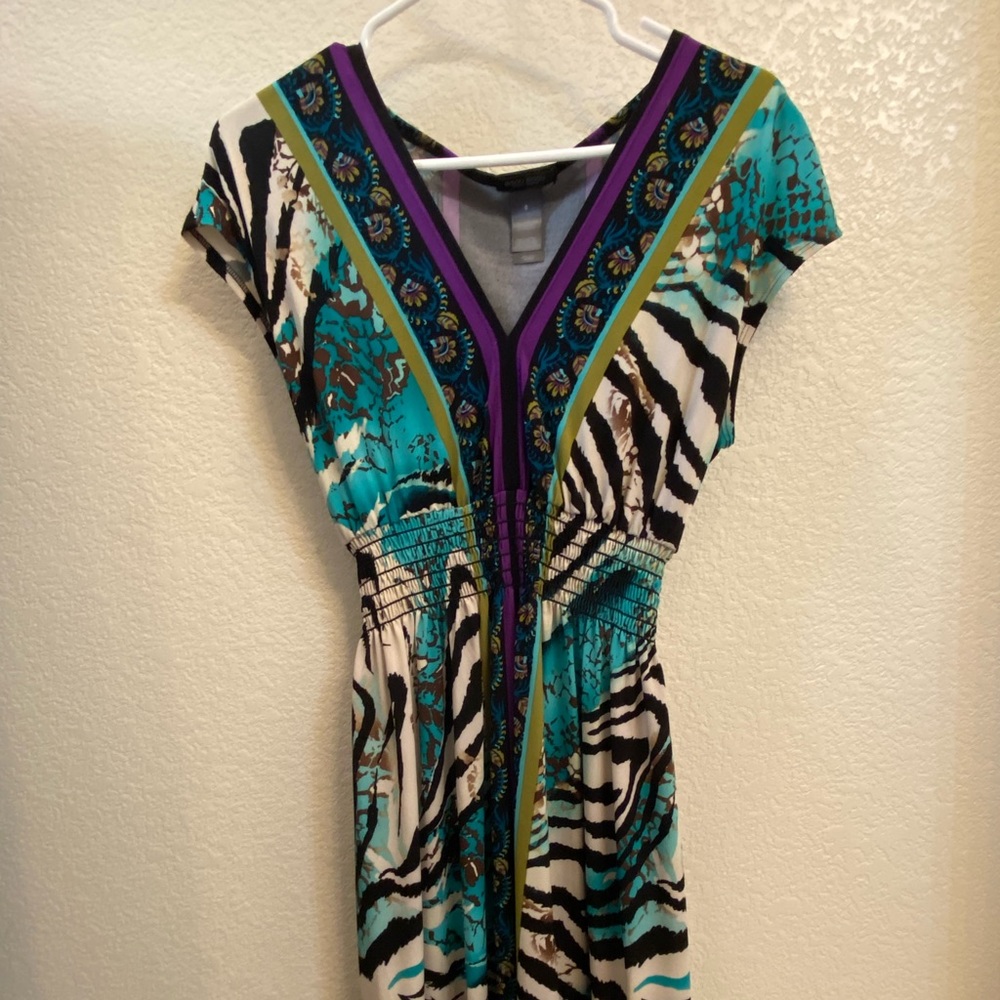 Bisou Bisou multi colored dress